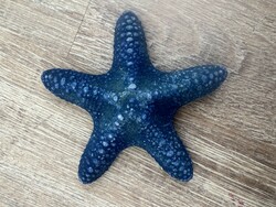 Real starfish preparation