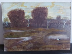 Unsigned painting - the artist on a certain pen ... Maybe - marshy landscape with stork - 445