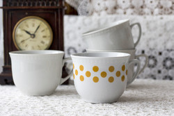 Lubiana mugs (price/piece) - polka dots sold out