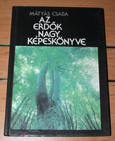 Könyv kamaszoknak Az erdők nagy képeskönyve AKCIÓ