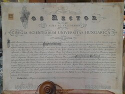 1900-as Évek Eleje Bőr Pergamen Doktori Diploma.66.5 x 51 cm.