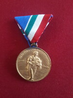 1954 évi dunai árvízvédelemért emlékérem / kitüntetés