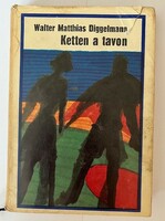 The book Walter matthias diggelmann: kette a tavon
