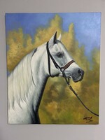 VÉGSŐ ÁR!! Czinege Zsolt (1967-): Paripa 50x60 cm