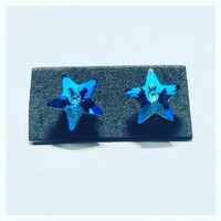 Bermuda blue swarovski crystal star earrings in stainless steel!