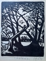 Makkai Piroska (1910-1998) erdélyi művész fametszete 1954-ből - erdei fák