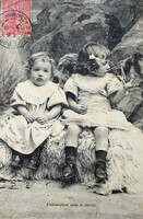 Antik fotó képeslap  kisgyerekek