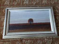I have reduced the price of a picture gallery in Moldova, István Alföld, 40x75 + frame