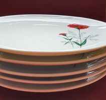 5db Winterling Röslau Bavaria német porcelán kistányér süteményes tányér szegfű virág mintával