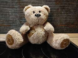 Teddy bear speaks English and sings, watch the attached short film