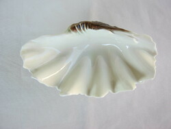 Hollóházi porcelán tengeri kagyló