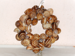 Real snail shell wreath, door decoration