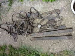 Antique old horse or cow tool