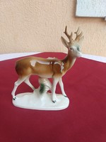 Német őzbak,,17 x 14 cm,,Hibátlan,,minimál ár nélkül..