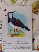 Retro madaras kvartett kártya, kártyajáték