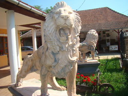 Antik régiség Márvány oroszlán szobrok
