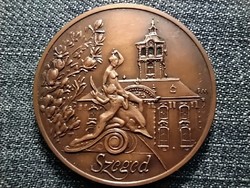 Hungarian-Finnish circles of friends iv. National Meeting 1990 Szeged Bronze Medal (id41252)