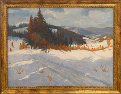 Pusztai Bálint - Téli tájkép