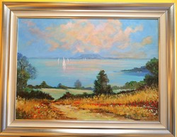 Balatoni fények 50x70cm