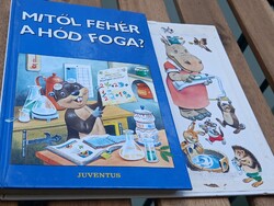 Gyerek ismeretterjesztő könyv: fogmosá könyv mese figurákkal