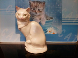 Ravenhouse kitten/cat, old porcelain