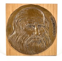 Leonardo da Vinci bronze plaque, Lajos Cséri 1970