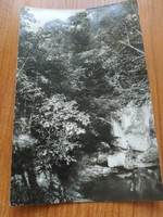 Bakonyi táj, Cuhavölgy, 1960-ból