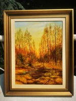 ŐSZI TÁJ, OLAJ FESTMÉNY, 40x44 cm,
