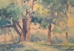 Erdőrészlet, 1962, Zich jelzéssel - erdei akvarell