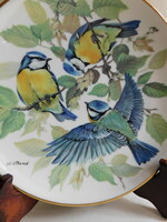 Alt Tirschenreuth madaras tányér - kék cinege