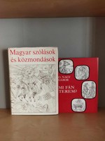 2 Pieces of Hungarian sayings and proverbs book