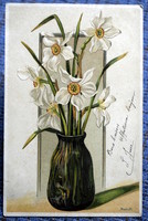 Antik dombornyomott szecessziós litho Mailick képeslap nárcisz csokor vázában