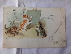 Egy 1880 körül készült színezett litográfia képeslapon,  4 cica számol