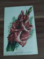 Régi virágos képeslap,kardvirág, rajz: Stremitzer Konrádné, 1960-as évek körüli