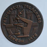 1978. "Pathologus Találkozó - Sopron 1978"  emlékérem (82mm) N-5