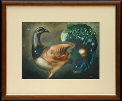 Tamás Végvári: Peacock - with frame 40x50 cm - artwork: 26x36 cm - 205/278