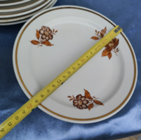 Old brown Zsolnay plate with floral pattern