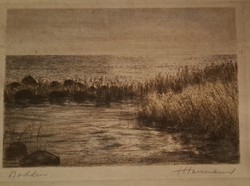 Signed etching on the shore of Lake Constance. With glazed frame. Size: 29x38 cm.
