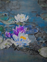 Water lilies - Teodora Jacsó
