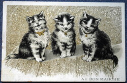 Antik grafikus litho nem képeslap / cicák énekelnek - hátoldala Le Bon Marché áruház reklám