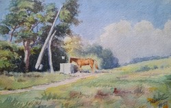 Horse at the well - watercolor landscape with a horse - signed, Halmi z. 1955