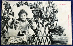 Antik Bergeret fotó képeslap  kisleány szőlővel
