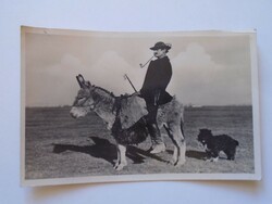 D197357 hortobáhy - the shepherd goes on the donkey 1940k
