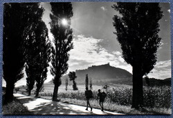 Régi fotó képeslap Balatonfelvidék - Hegymagas felől panoráma Szigliget felé 1959 futott