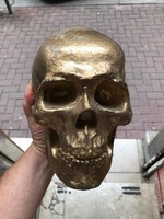 Ceramic skull, life-size, compact and beautiful creation.