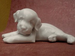 PROFTH .KARNER  BIRODALMI  KUTYA ALLAH  PORCELÁN
