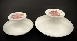2 display cases dahlia flower jug lid dahlia sugar bowl top