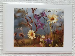 Postcard with envelope, greeting card, greeting card, postcard with field flower pattern