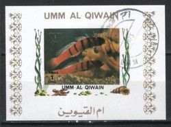 Fish, aquatic life 0016 (umm-al qiwain)