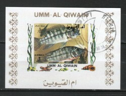 Halak, vízi élőlények 0013 (Umm-al Qiwain)